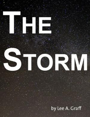 Cover of the book The Storm by Nivan Veenith