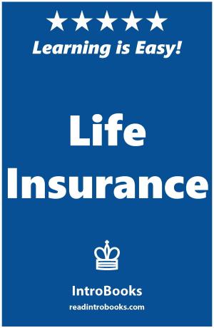 Cover of the book Life Insurance by Jonas Stark