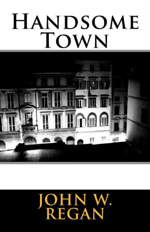 Book cover of Handsome Town