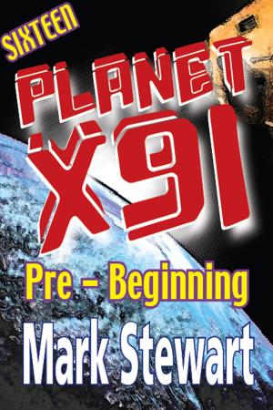 Cover of the book Planet X91 Pre-Beginning by Susan Reid