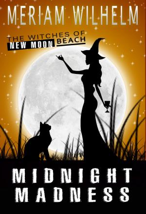 Cover of Midnight Madness