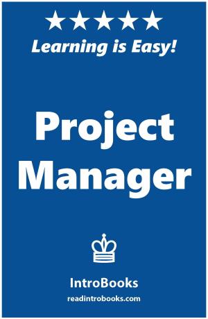 Book cover of Project Manager