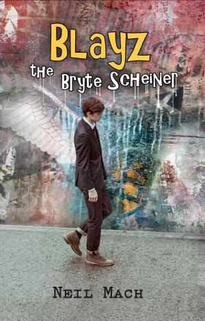 Cover of the book Blayz the Bryte Scheiner by Mike W. Barr