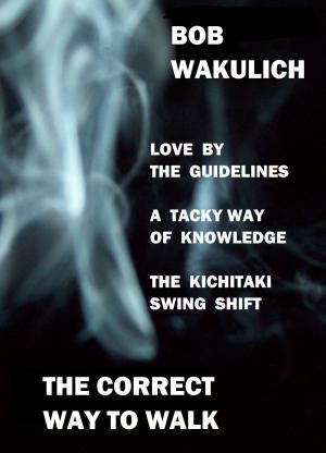Book cover of The Correct Way to Walk