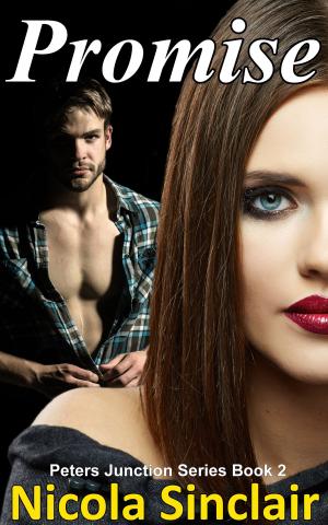 Cover of the book Promise (Peters Junction Series Book 2) by Jordyn Tracey