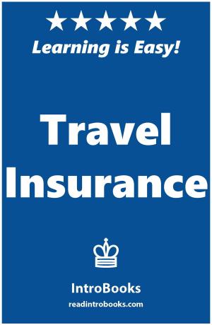 Cover of the book Travel Insurance by Can Akdeniz