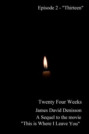 Book cover of Twenty Four Weeks - Episode 2 - "Thirteen" (PG)