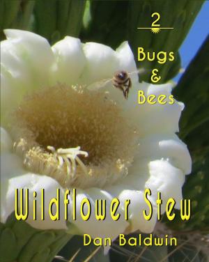 Cover of the book Wildflower Stew 2 by Rhonda Hull, Dan Baldwin, Dwight Hull