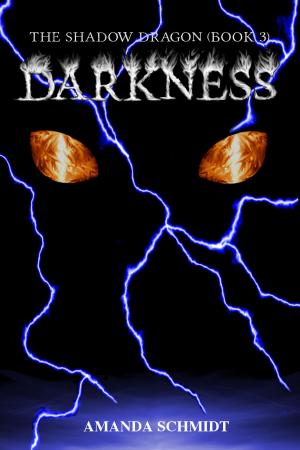 Book cover of The Shadow Dragon (Book 3): Darkness