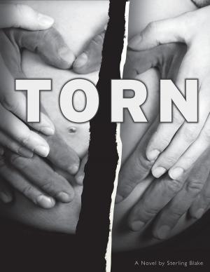 Cover of the book Torn by Michael G. Trachtman, Esq.