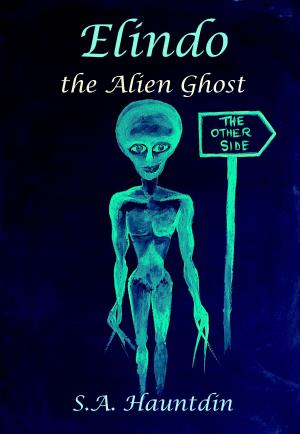 Cover of the book Elindo the Alien Ghost by Kat Vancil, Alicia Kat Vancil