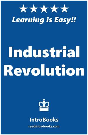 bigCover of the book Industrial Revolution by 