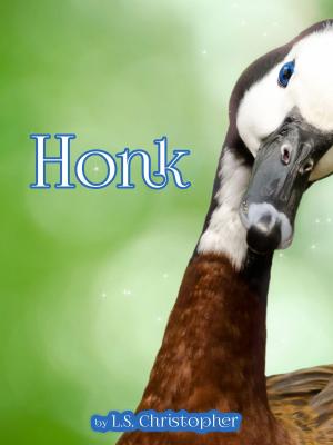 bigCover of the book Honk by 