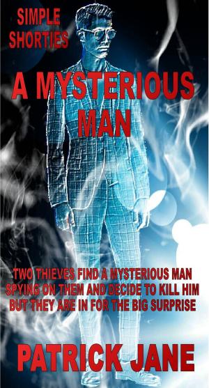 Cover of the book A Mysterious Man by Terry Bisson