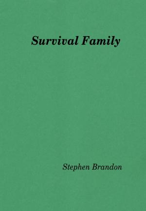 bigCover of the book Survival Family by 