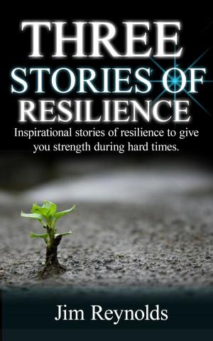 Book cover of Three Stories Of Resilience: Inspirational Stories Of Resilience To Give You Strength During Hard Times.