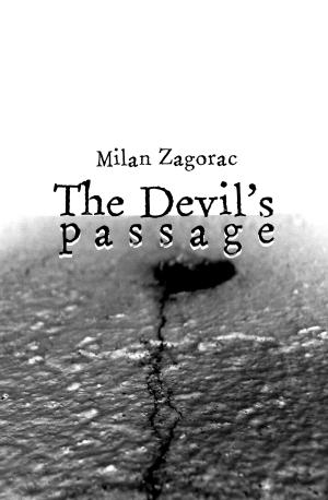 Book cover of The Devil's Passage