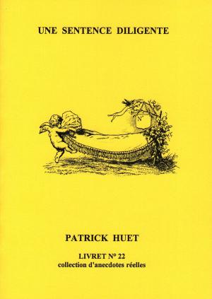 Cover of the book Une Sentence Diligente by Patrick Huet
