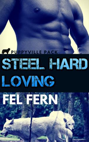 Cover of the book Steel Hard Loving by Cass Alexander