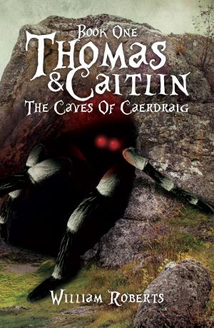 Book cover of Thomas And Caitlin: Book One - The Caves Of Caerdraig