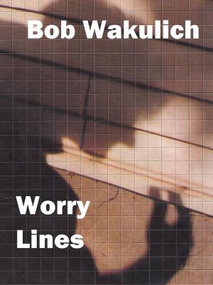 Book cover of Worry Lines