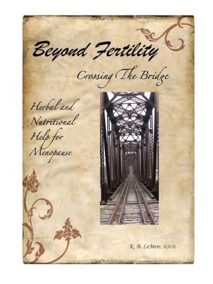 Book cover of Beyond Fertility, Crossing the Bridge