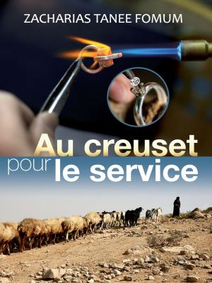Book cover of Dans le Creuset en Vue du Service