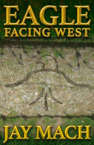 Cover of the book Eagle Facing West by Nicola Vallera