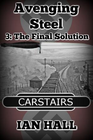 Cover of the book Avenging Steel 3: The Final Solution by Tony Rattigan
