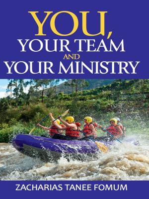 Book cover of You, Your Team, And Your Ministry