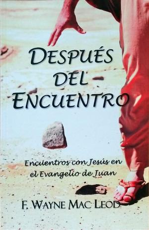 Book cover of Después del Encuentro