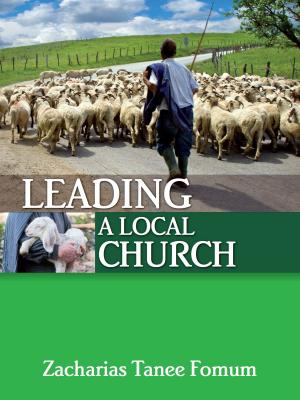 Book cover of Leading a Local Church