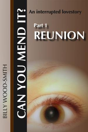 Cover of the book Can You Mend It?: Part 1: Reunion by S.L. Dearing