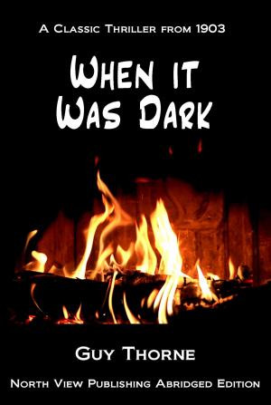 Book cover of When it was Dark
