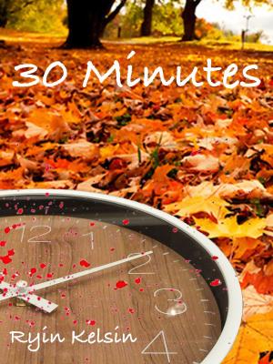 Cover of the book 30 Minutes by Danielle Singleton