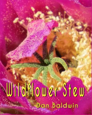 Book cover of Wildflower Stew
