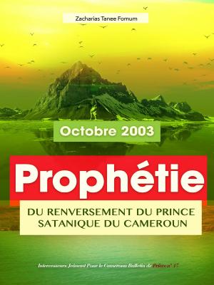 Book cover of Prophétie du Renversement du Prince Satanique du Cameroun