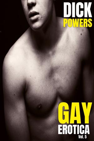 Book cover of Gay Erotica Vol. 5