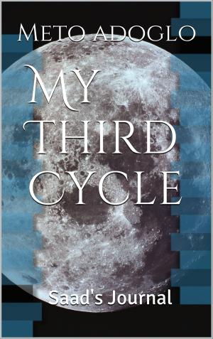 Cover of the book My Third Cycle by Dianne J. Ferris
