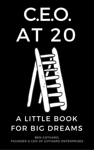 Cover of the book CEO at 20: A Little Book for Big Dreams by Alan Le Marinel