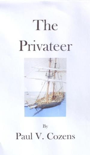 bigCover of the book The Privateer by 