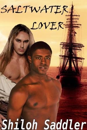 bigCover of the book Saltwater Lover by 