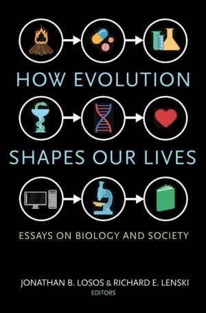 Cover of the book How Evolution Shapes Our Lives by Stephen R. Palumbi, Anthony R. Palumbi