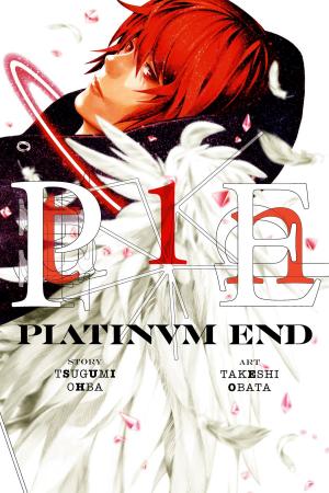 Book cover of Platinum End, Vol. 1