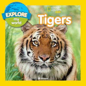 Cover of the book Explore My World Tigers by Boris Diaw, Kitson Jazynka