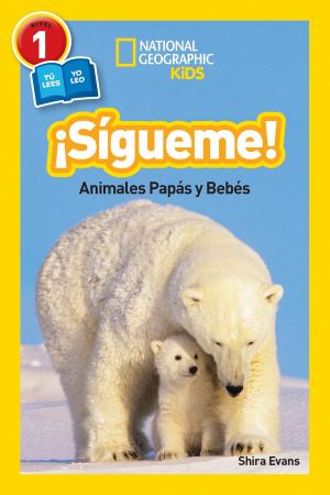 Cover of National Geographic Readers: Sigueme! (Follow Me!)