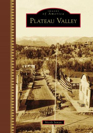 bigCover of the book Plateau Valley by 