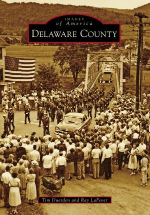 Cover of the book Delaware County by Nancy J. Devin, Richard V. Simpson