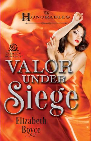 Cover of the book Valor Under Siege by Alicia Hunter Pace