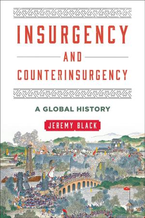 Cover of the book Insurgency and Counterinsurgency by Natan Sznaider